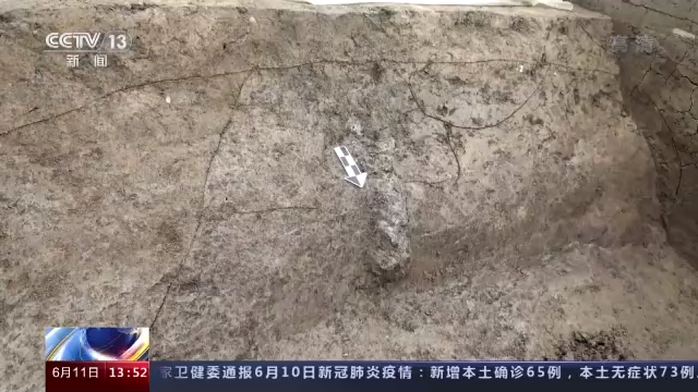 三星堆又有新发现！