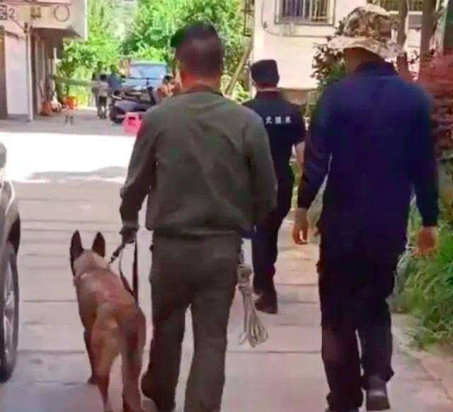 6岁女童在家门口玩耍时失踪 遗体在污水厂被找到