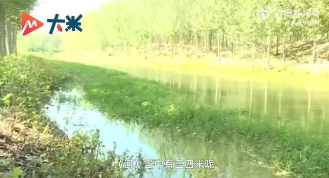 善良成为本能！女子跳河将男童救起，事后才想起自己不会游泳