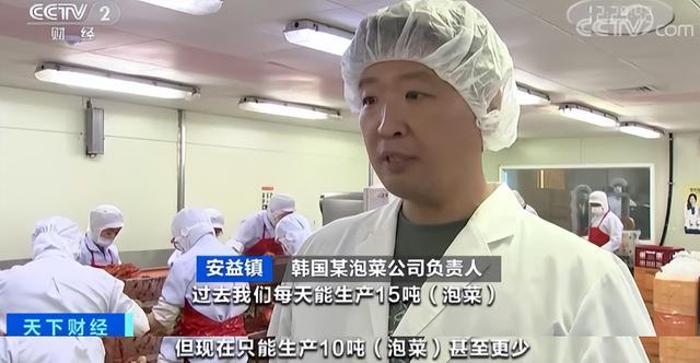近一半泡菜生产商关闭，韩国人坐不住了，加急建造"白菜银行"