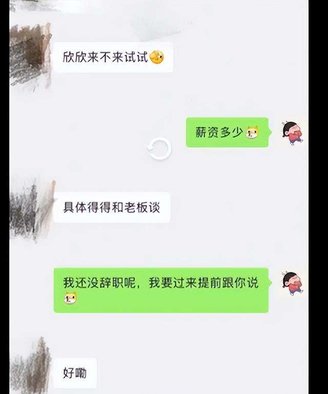女子投简历后发现HR是室友，惊喜还是尴尬！