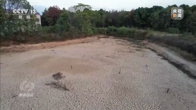 焦点访谈丨秋收时节好“丰”景