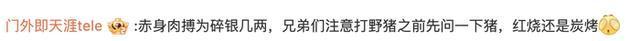野猪泛滥捕猎一头奖2500元？官方回应：要缴纳意外保险，不许下毒打枪