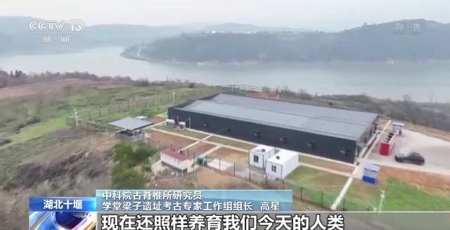 “郧县人”3号头骨化石提取出土