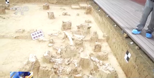 “郧县人”3号头骨化石提取出土