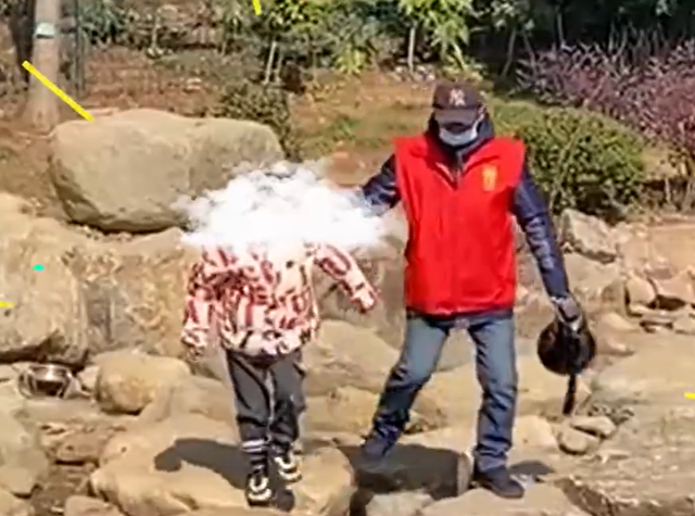 男孩动物园内将孔雀摔打拔毛 管理员来了还想跑，熊孩子到底是谁的过错