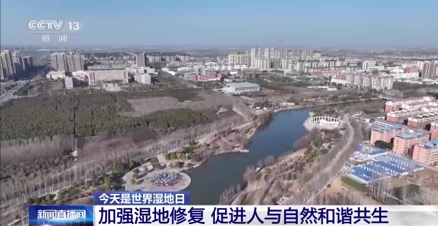 中国湿地保护成绩单来了