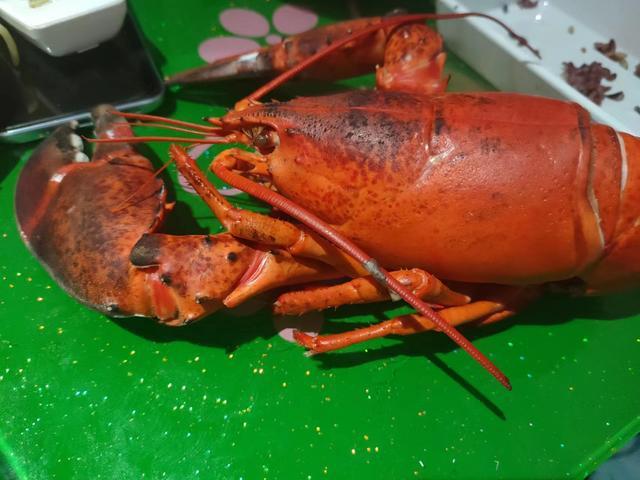 吃龙虾多脏器出问题 检测发现原因:砷超准1964倍,汞超过50.6倍