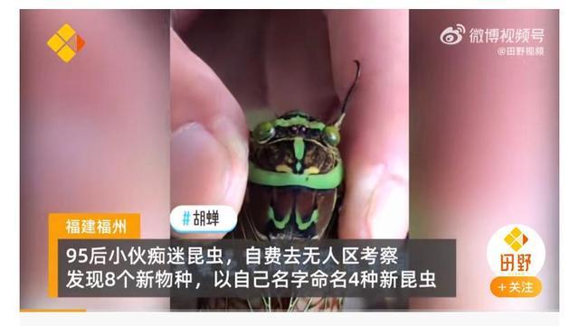 小伙因社恐常年钻深山，发现8个新物种 以自己的名字命名4种