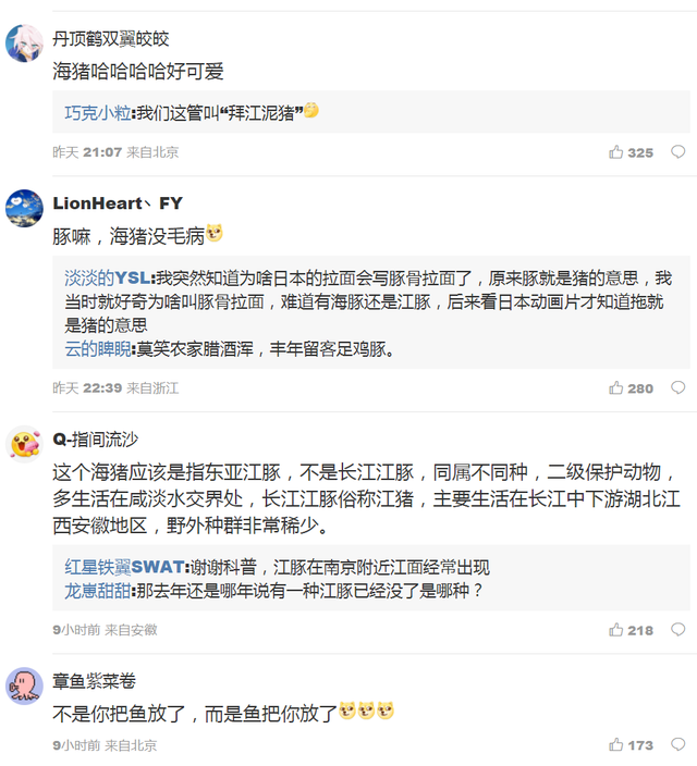 渔民误捕江豚后果断放生 网友纷纷发问这是什么鱼啊这么漂亮！