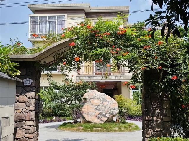 阿姨回应建别墅抱团养老 当地民政部门：可提供培训指导