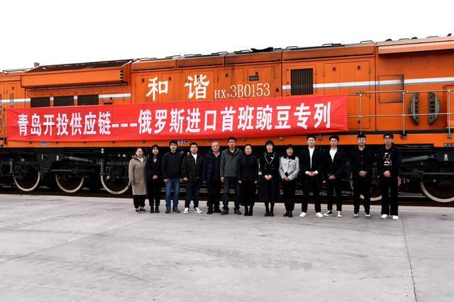 俄罗斯豌豆专列抵达青岛 是俄罗斯豌豆进口到中国市场的一个全新的里程碑
