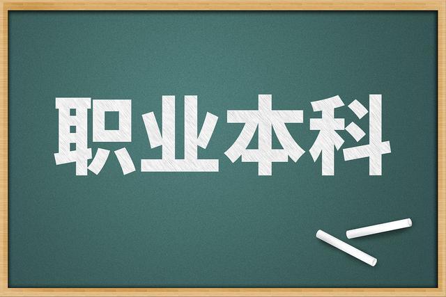 职业本科迎来“阵痛期”？4年内扩招14倍，2025年招生将达50余万人
