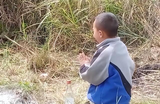 男孩扫墓时跪求不写作业 网友：他在上学和上进之间选择了上香！