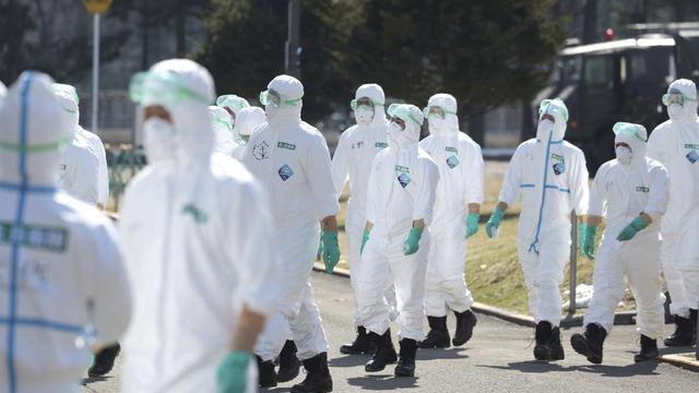 日本暴发最严重禽流感，上千万死禽无处可埋 多店停售鸡蛋