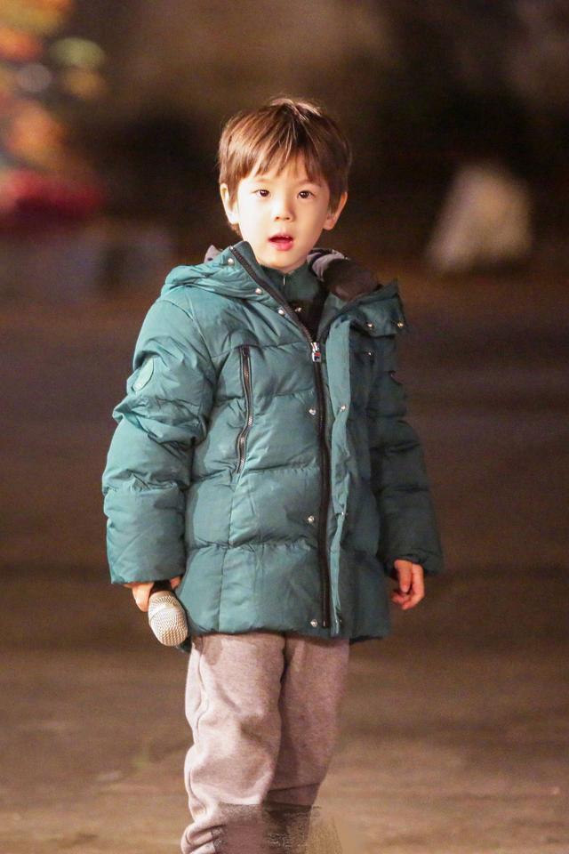 霍思燕晒嗯哼近照惹争议 网友喊话嗯哼疑似腺样体面容快带医院看看 颜值没杜江帅！