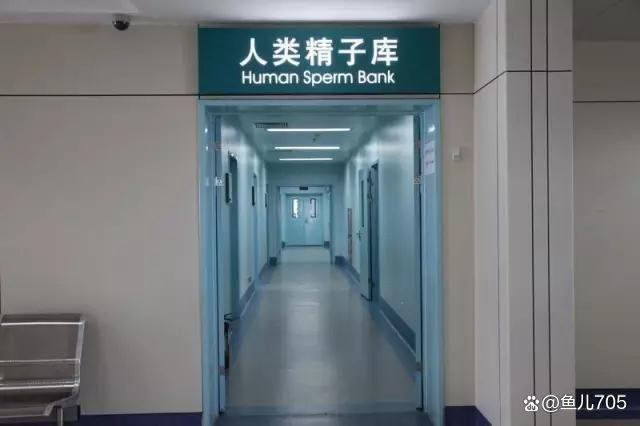 我国未婚女性不能申请精子库！原因来了！