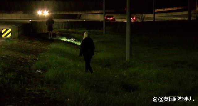 美国男子高速上狂撒现金，警察：一毛钱也没找到！