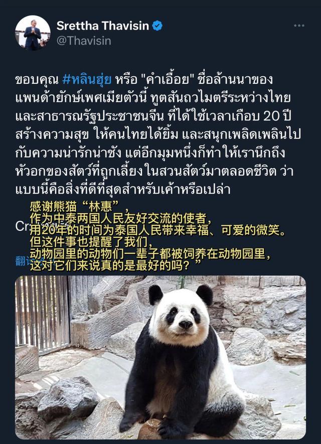 外交部：中方对熊猫林惠离世感到难过和惋惜