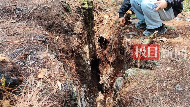 男孩失踪13年尸骨被发现，两名村妇被警方带走