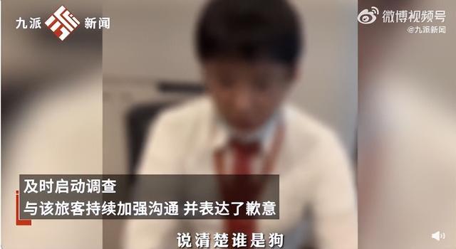 旅客遭新加坡柜台人员辱骂 南航新加坡营业部致歉，停止该人员服务资格