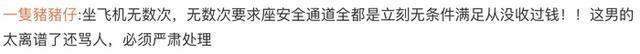 南航回应旅客被骂是狗：已要求代理服务商停止该人员服务资格