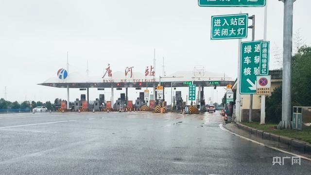 小麦因下雨发芽 农户哭诉损失惨重 收割机无法下高速