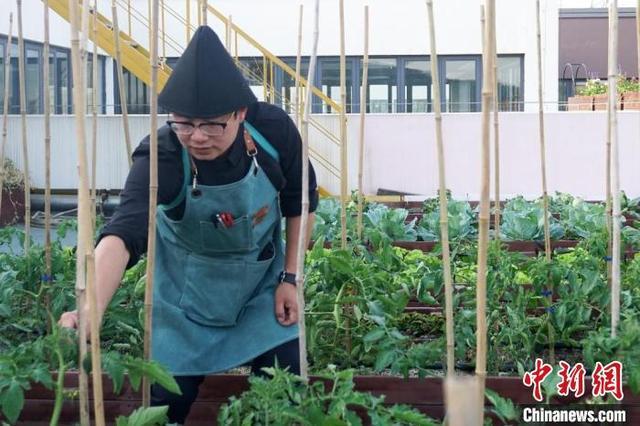 台湾青年大陆“务农”十载 打造“天空农场”