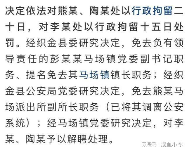 县委书记探望被殴打记者 官方通报打人者，鹅卵石事件两大疑点