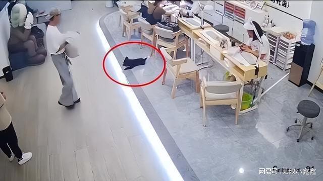 摔死小狗的男店员被开除 涉事店铺：永不录用这名员工