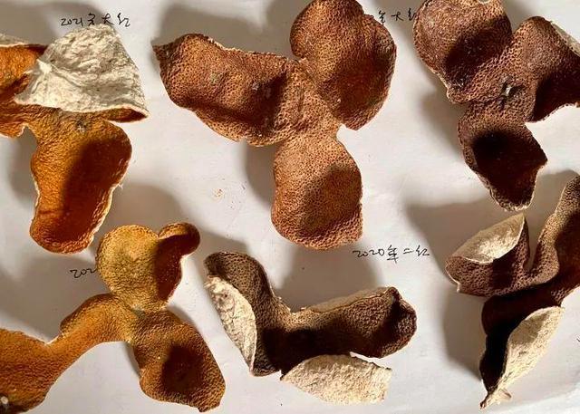 爸爸囤几百斤陈皮给女儿做嫁妆 网友看懵：涨成这样了？