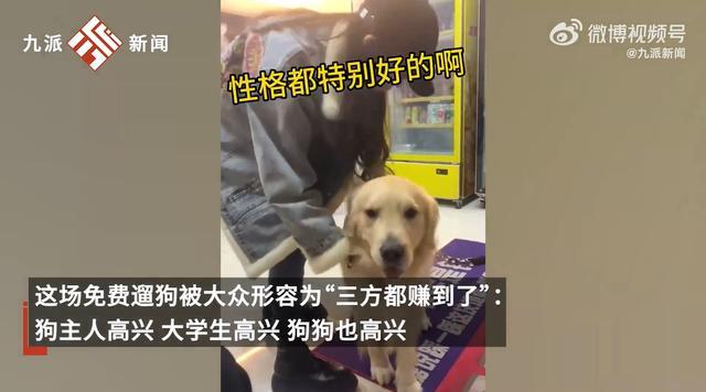 大学生兴起免费帮陌生人遛狗 被遛完的小狗现状：笑得嘴都合不上了