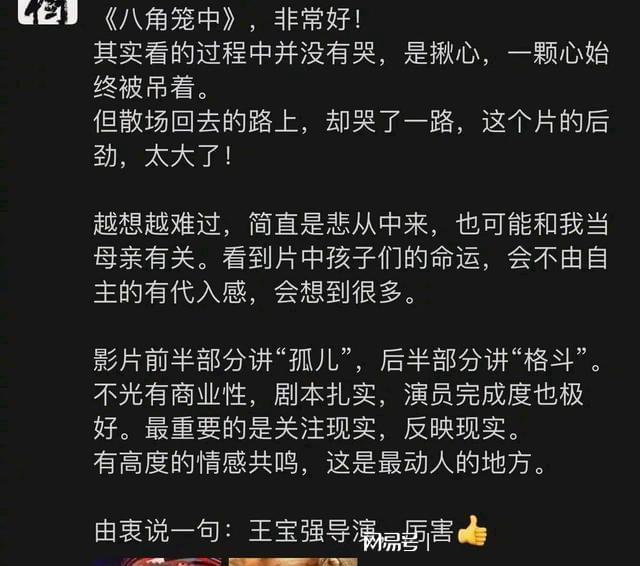 王宝强新片首波口碑：演技精湛，赢得观众赞誉！