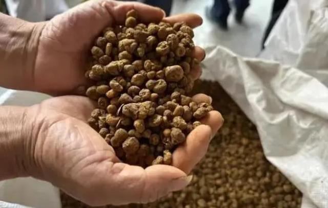 浙江一药农卖元胡10分钟赚52万元！中药材涨价背后暴露出价格监管薄弱、行业机制不健全