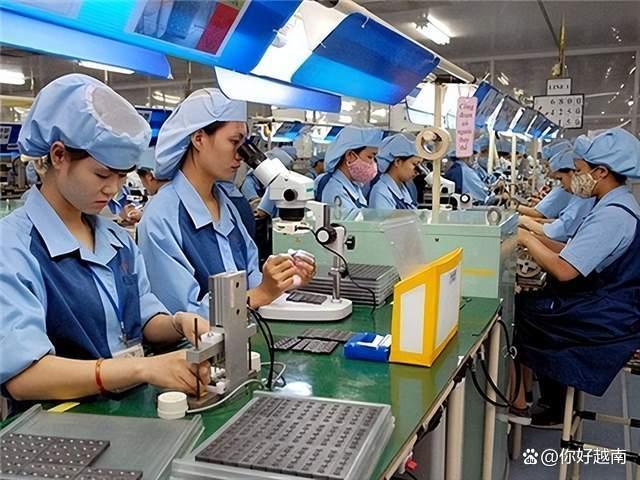 越南增值税税率将降至8%