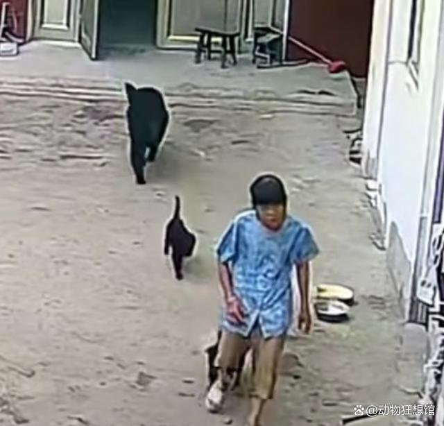 安徽一患病老人喝农药轻生：为减轻儿女负担