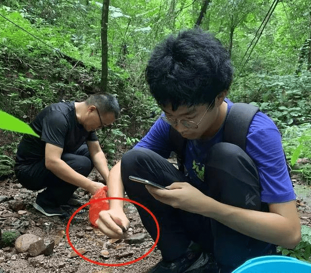 17岁男孩发现新物种 登上国际周刊 为我国生物多样性的研究和保护工作注入了新的动力