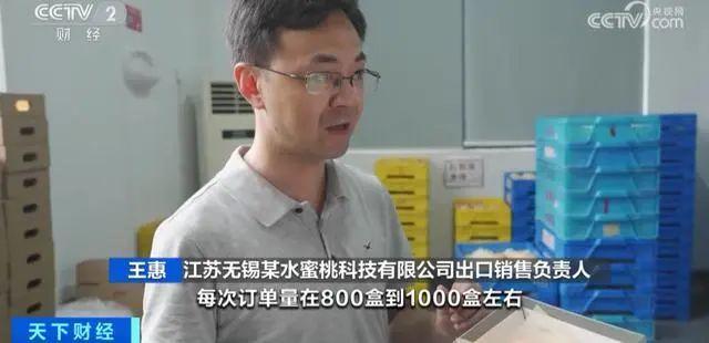 一颗水蜜桃挤出一杯桃汁 现在是阳山水蜜桃大量集中上市的季节