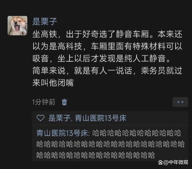 网友称遇“人工静音”车厢 一有人说话，乘务员就会过来劝阻