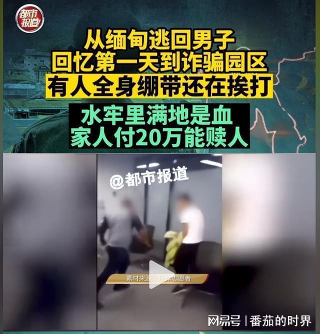 网友为云南边防发声，是自己的贪欲被骗，云南边防对得起每一个人