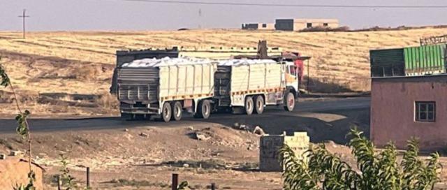 曝美军盗取叙利亚农作物 经马哈茂迪非法过境点运往美军位于伊拉克的军事基地