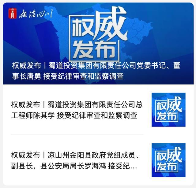 蜀道投资集团唐勇被查!