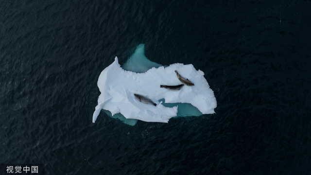 南极出现极地放大效应 当地气候变暖速度远快于预测