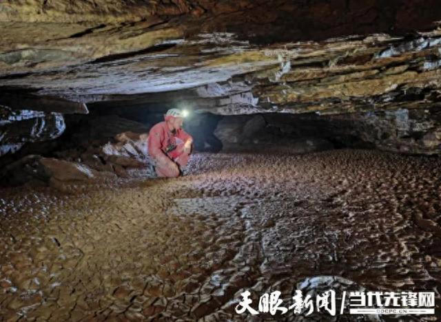 贵州现40具熊猫个体化石，最老的个体距今至少10万年