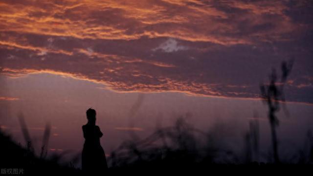 高速上得知母亲去世崩溃  交警们没有犹豫，立刻担当起了代驾的角色