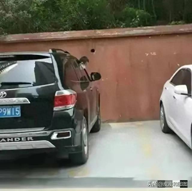6岁男孩头卡电动车窗没人发现最终身亡