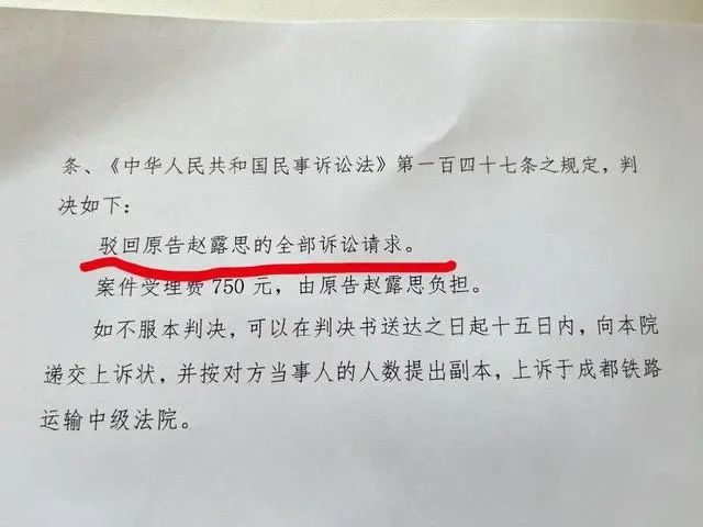 赵露思律师回应败诉：启动上诉程序