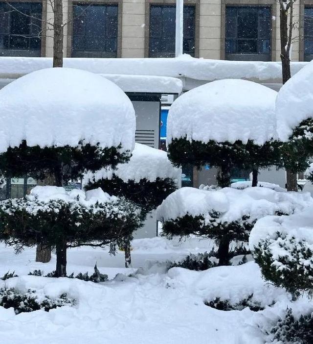 山东威海暴雪积雪厚度惊呆网友，局部可达30厘米以上！