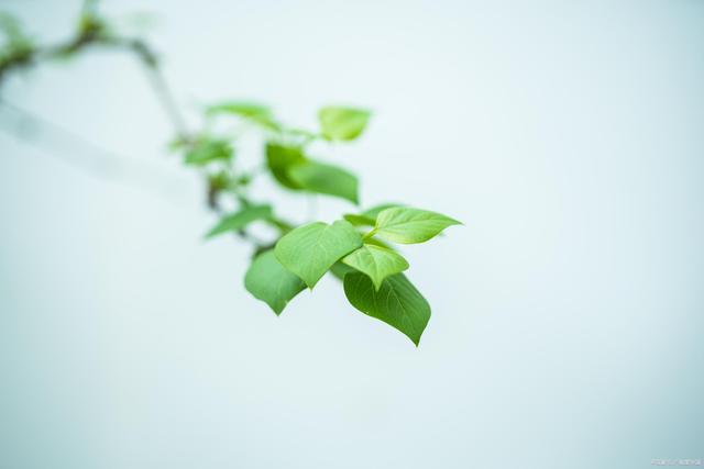 对你有好感的男人，他身上会有这2个变化，你发现了吗？