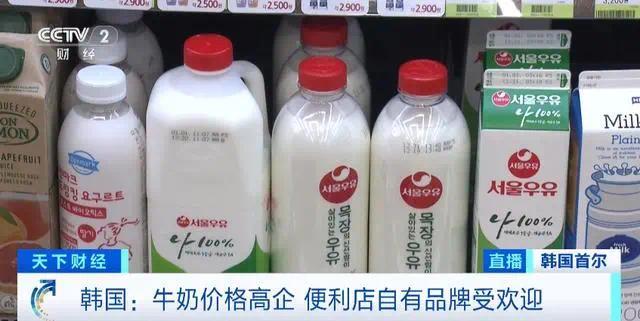 中国冰淇淋在韩国爆火 韩国牛奶涨价国货趁虚而入
